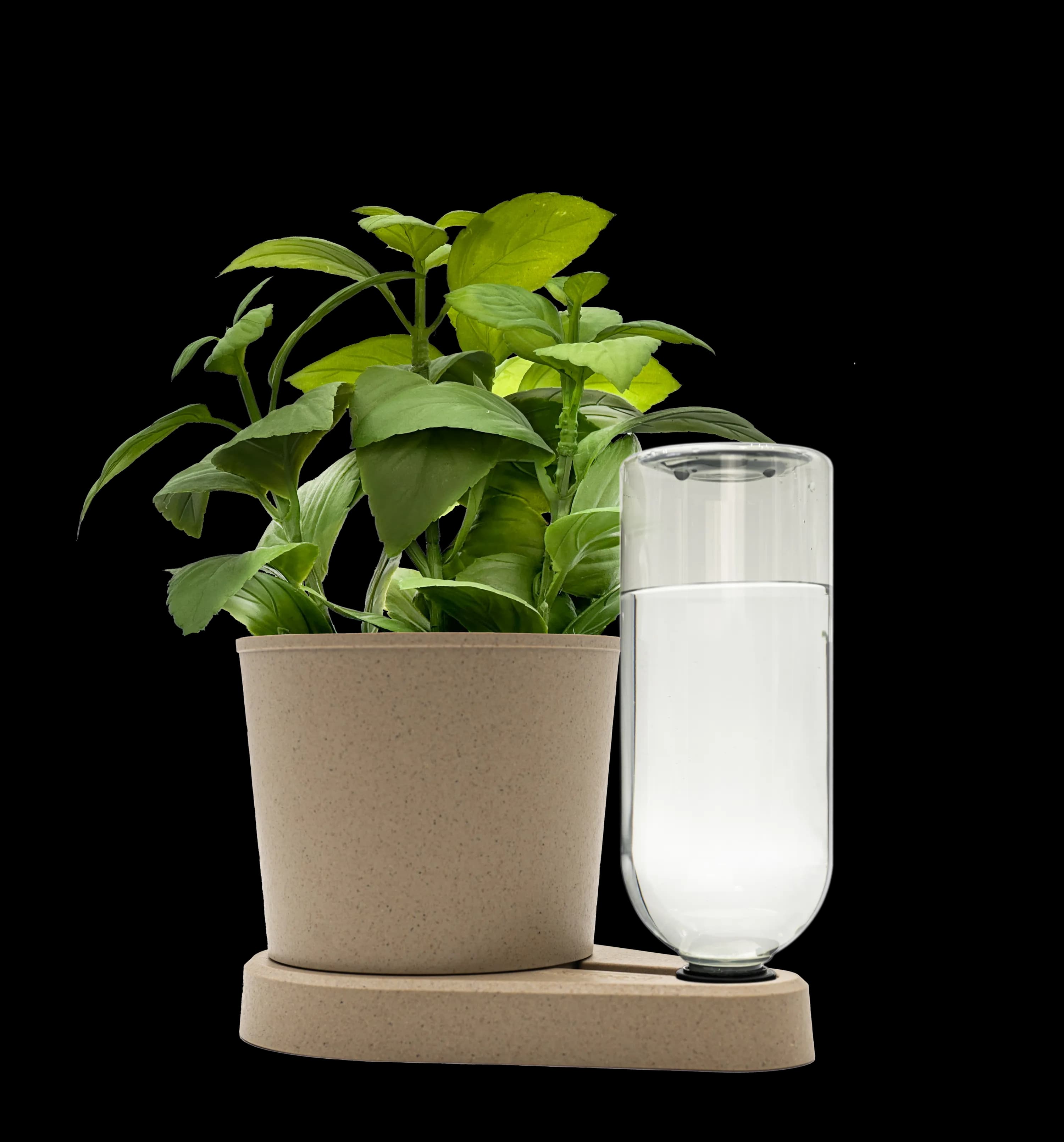 Kräuterheld Variante