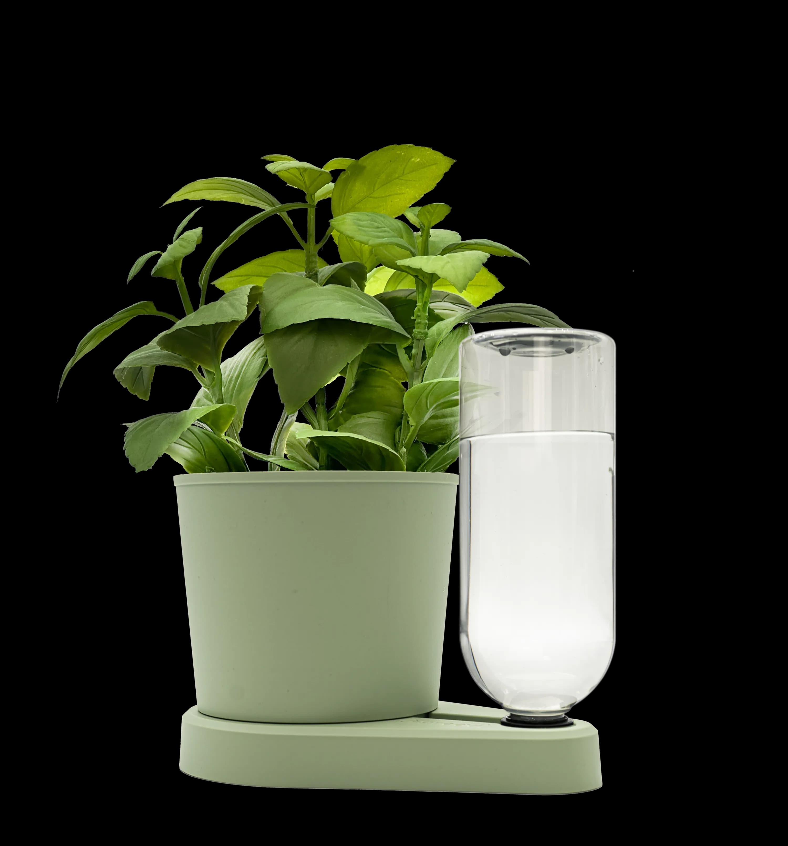 Kräuterheld Variante